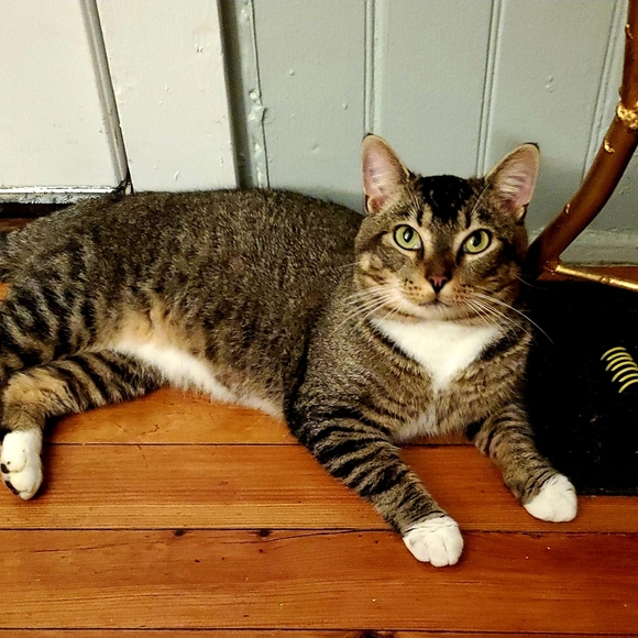 Meet your Posher, Hayley - Picture 8 of 8